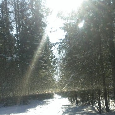 Нарские хроники