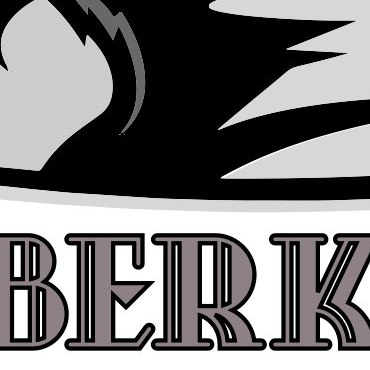 Berkut City AutoQues