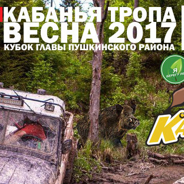 Чемпионат по автомотоспорту  