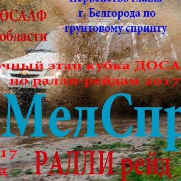 IV отборочный этап Кубка ДОСААФ России по ралли