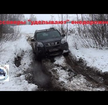 По дорогам истории России